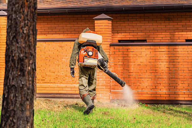 Trusted Mosquito Control service in Glandorf, OH - Nex Pest Control